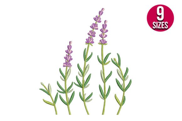 Lavender Wildflowers Review